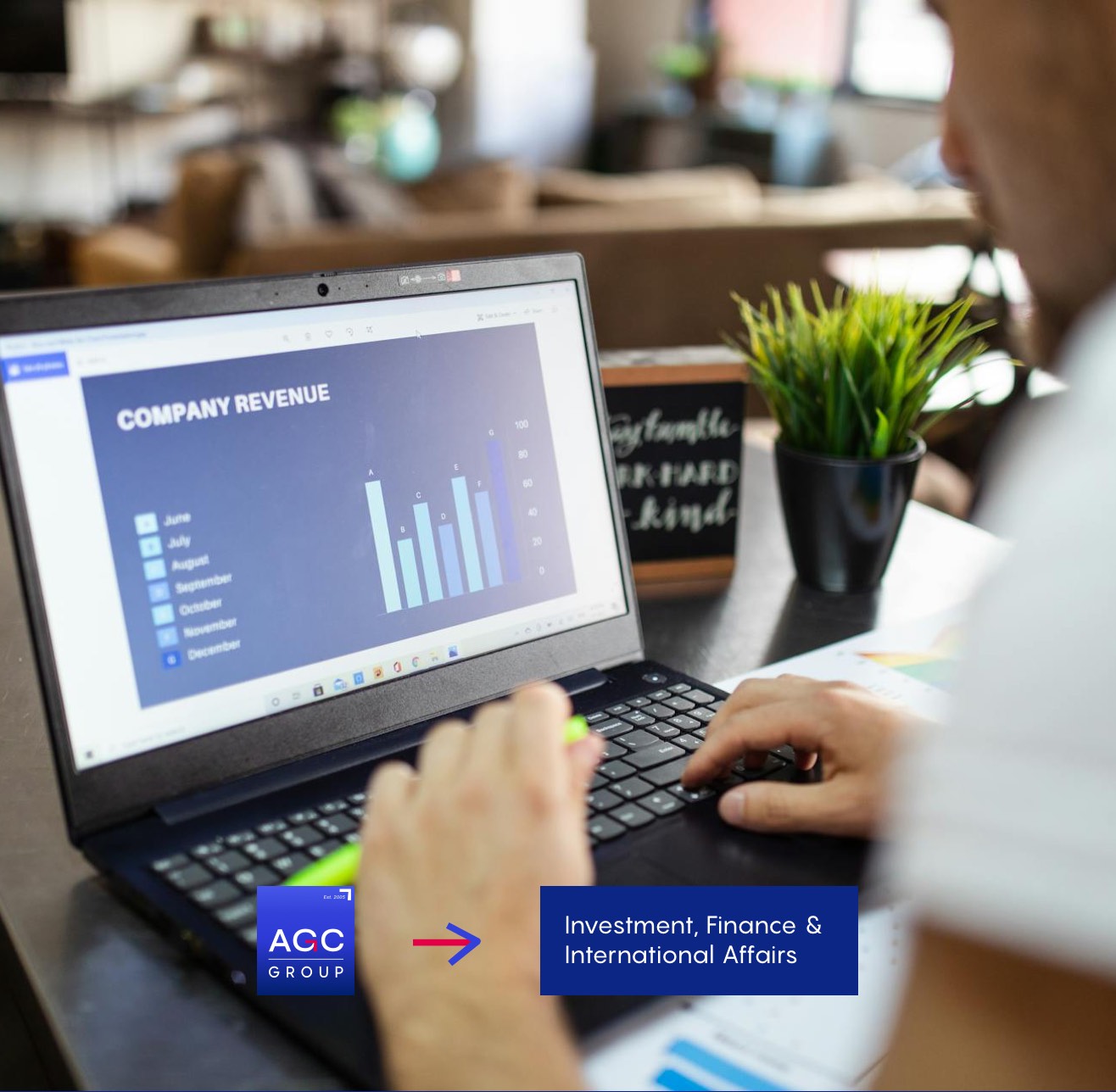 Investment, Accounting, Finance, Tax Advisory, Tech Support, Business Development & International Affairs