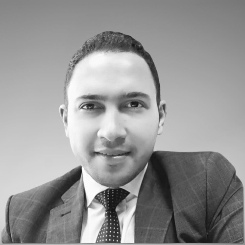 Dr. Mohamed Gomaa